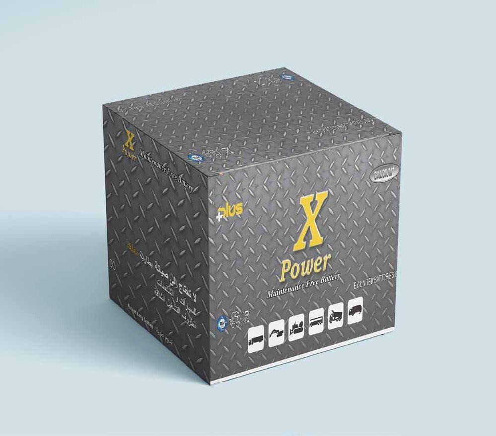 XPower — maintenance-free battery